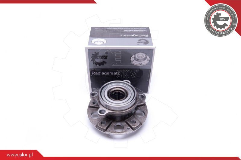 ESEN SKV Garnitura ležaja kotača