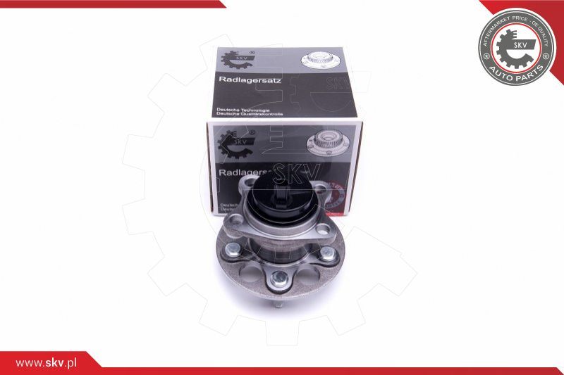 ESEN SKV Garnitura ležaja kotača
