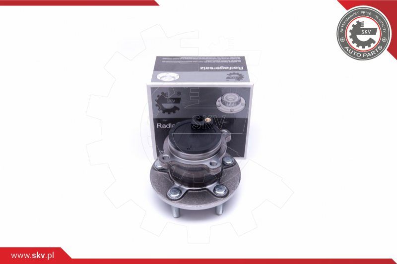 ESEN SKV Garnitura ležaja kotača