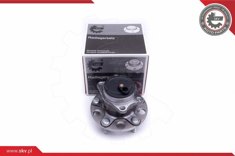 ESEN SKV Garnitura ležaja kotača
