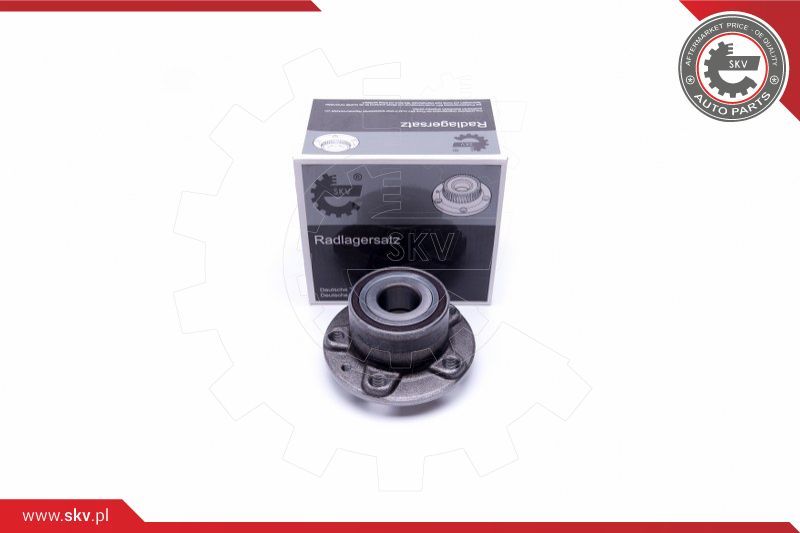 ESEN SKV Garnitura ležaja kotača