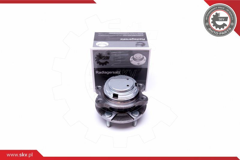 ESEN SKV Garnitura ležaja kotača