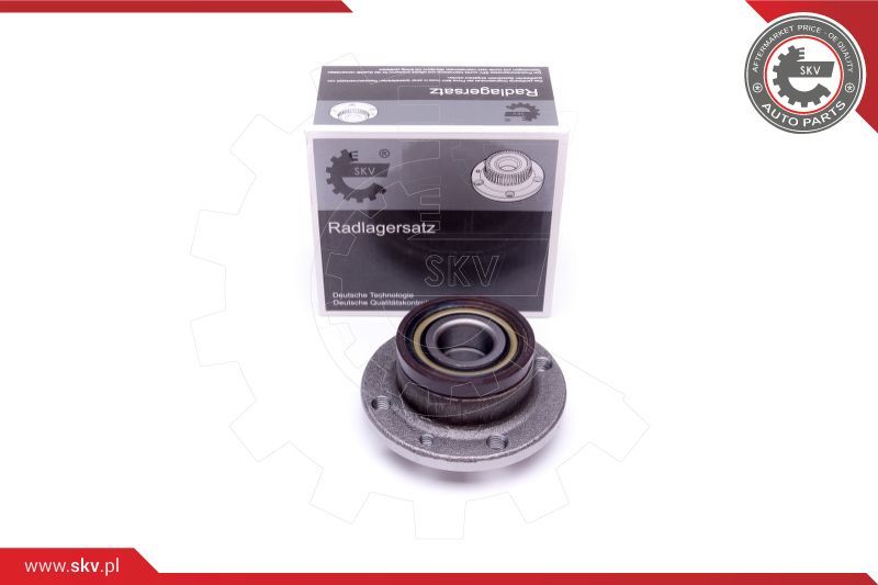 ESEN SKV Garnitura ležaja kotača