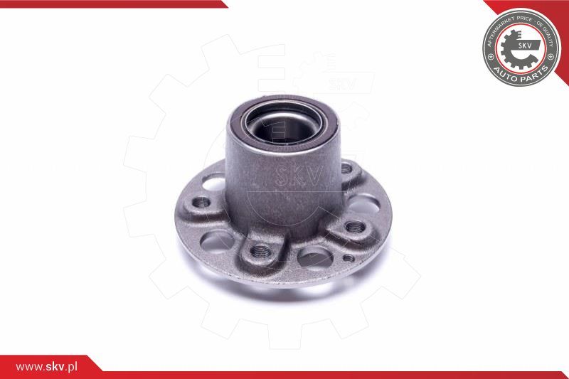 ESEN SKV Garnitura ležaja kotača