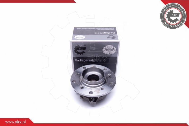 ESEN SKV Garnitura ležaja kotača