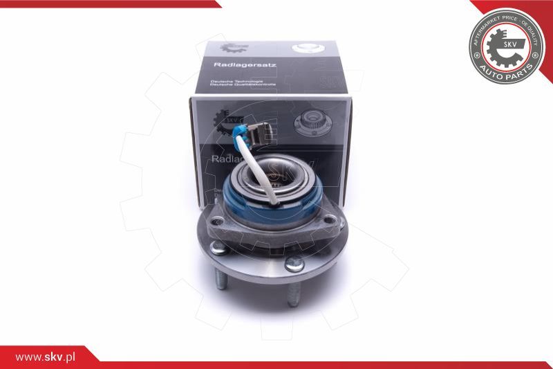 ESEN SKV Garnitura ležaja kotača