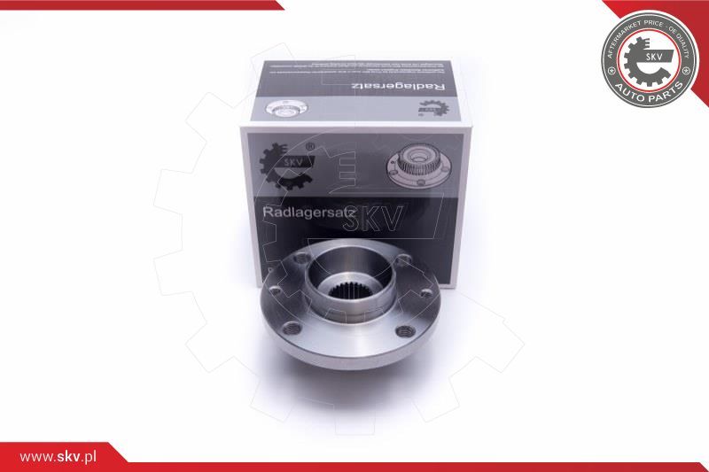 ESEN SKV Garnitura ležaja kotača