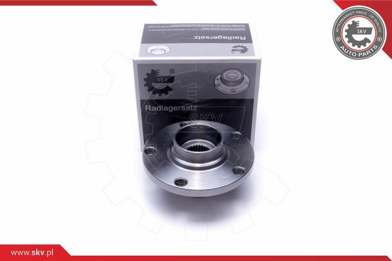 ESEN SKV Garnitura ležaja kotača