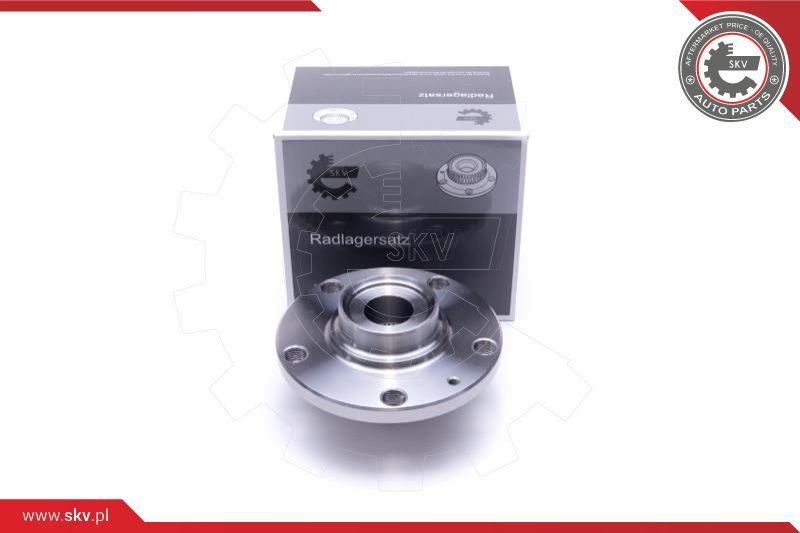 ESEN SKV Garnitura ležaja kotača