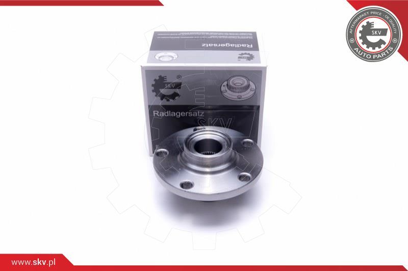 ESEN SKV Garnitura ležaja kotača