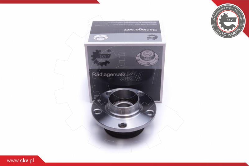 ESEN SKV Garnitura ležaja kotača