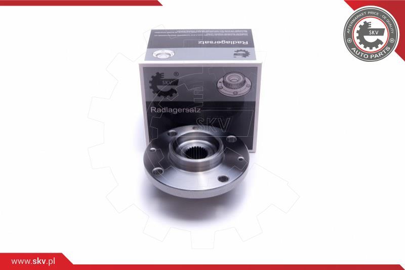ESEN SKV Garnitura ležaja kotača