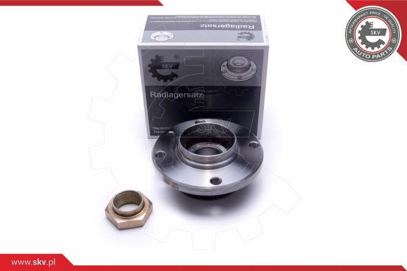 ESEN SKV Garnitura ležaja kotača