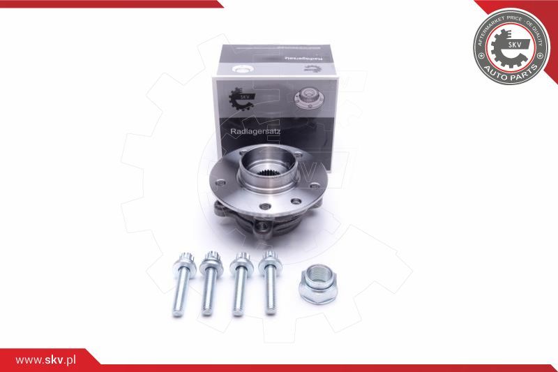 ESEN SKV Garnitura ležaja kotača