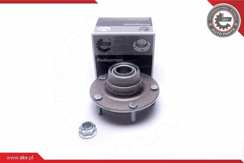 ESEN SKV Garnitura ležaja kotača