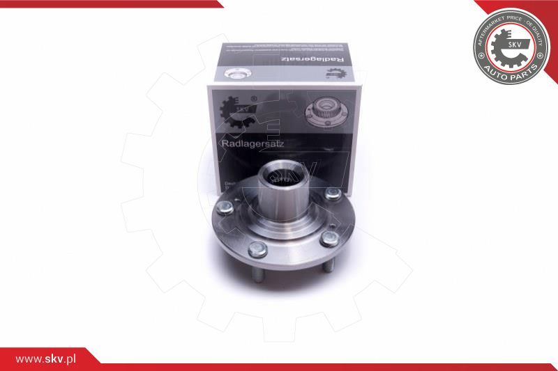 ESEN SKV Garnitura ležaja kotača