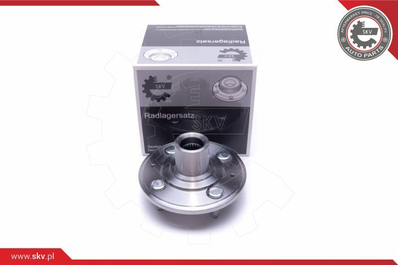 ESEN SKV Garnitura ležaja kotača