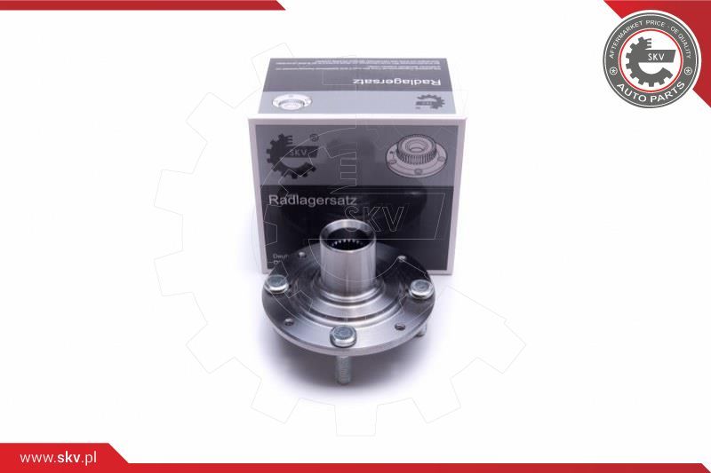 ESEN SKV Garnitura ležaja kotača