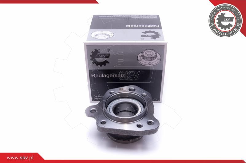 ESEN SKV Garnitura ležaja kotača