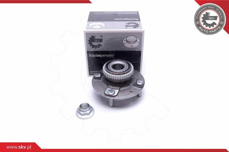 ESEN SKV Garnitura ležaja kotača