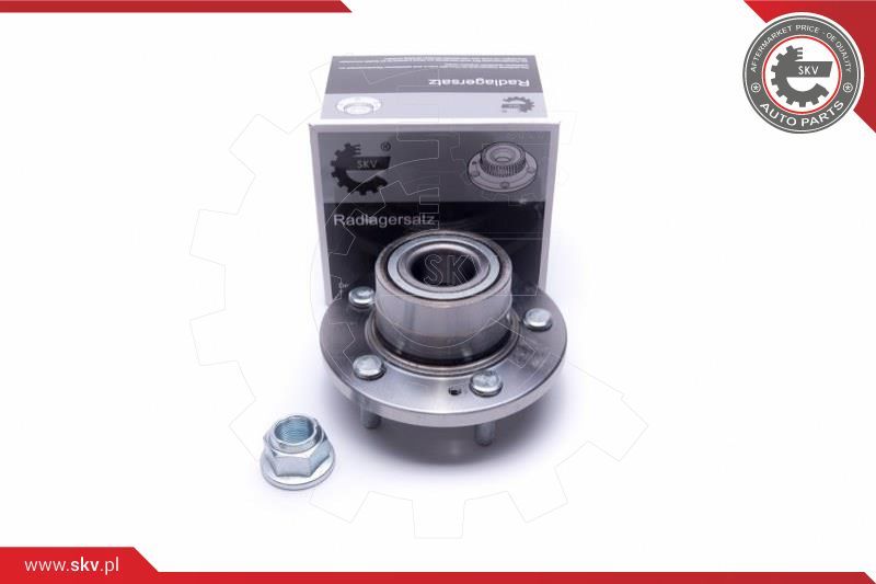 ESEN SKV Garnitura ležaja kotača
