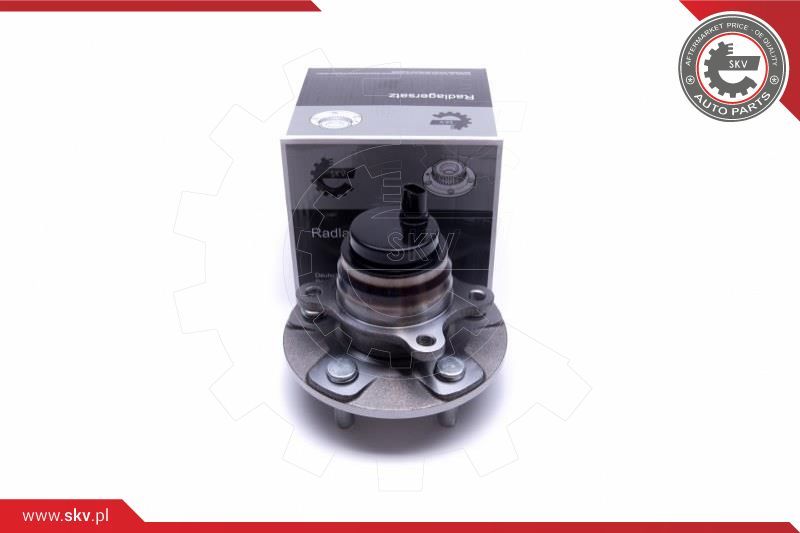 ESEN SKV Garnitura ležaja kotača