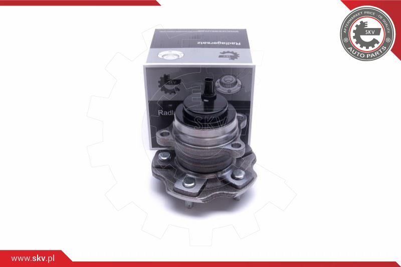 ESEN SKV Garnitura ležaja kotača