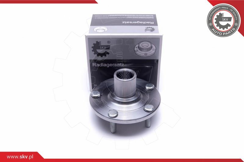 ESEN SKV Garnitura ležaja kotača
