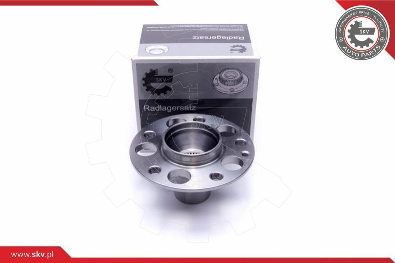 ESEN SKV Garnitura ležaja kotača