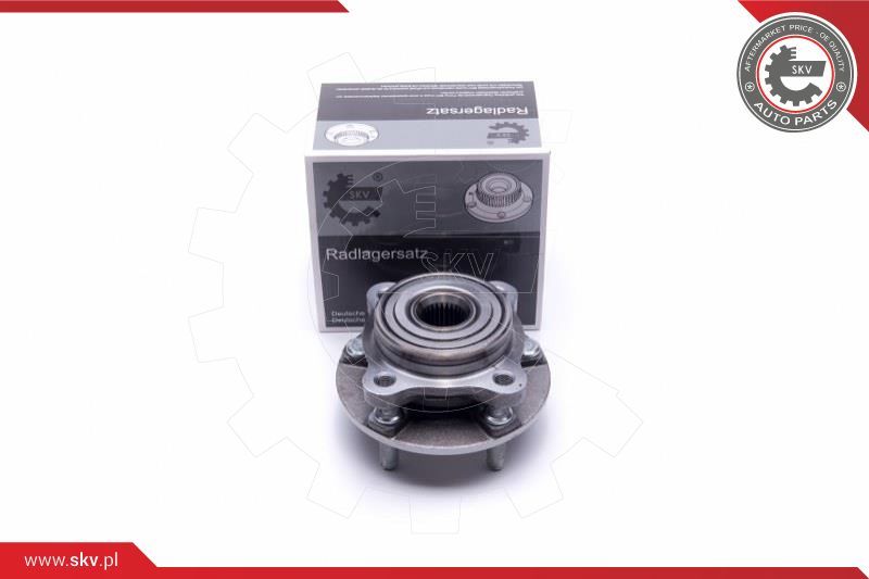 ESEN SKV Garnitura ležaja kotača