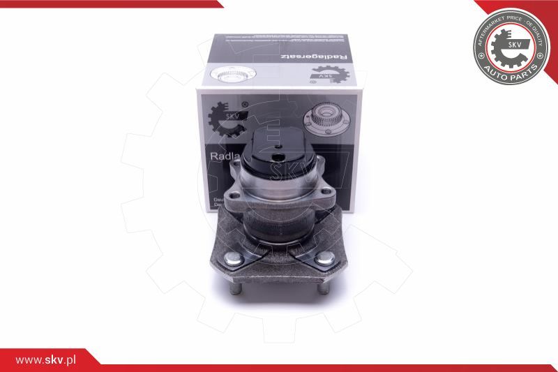 ESEN SKV Garnitura ležaja kotača