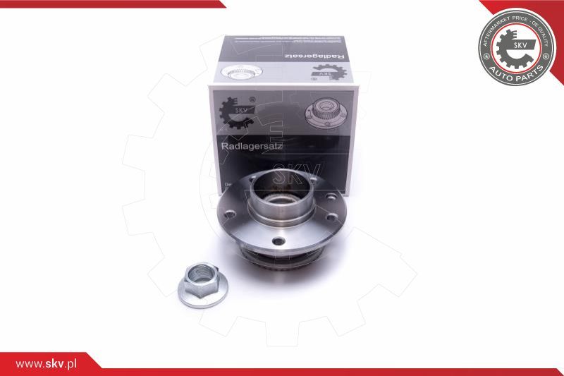 ESEN SKV Garnitura ležaja kotača