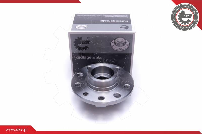 ESEN SKV Garnitura ležaja kotača