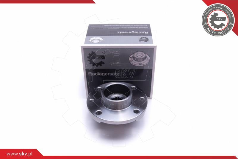 ESEN SKV Garnitura ležaja kotača