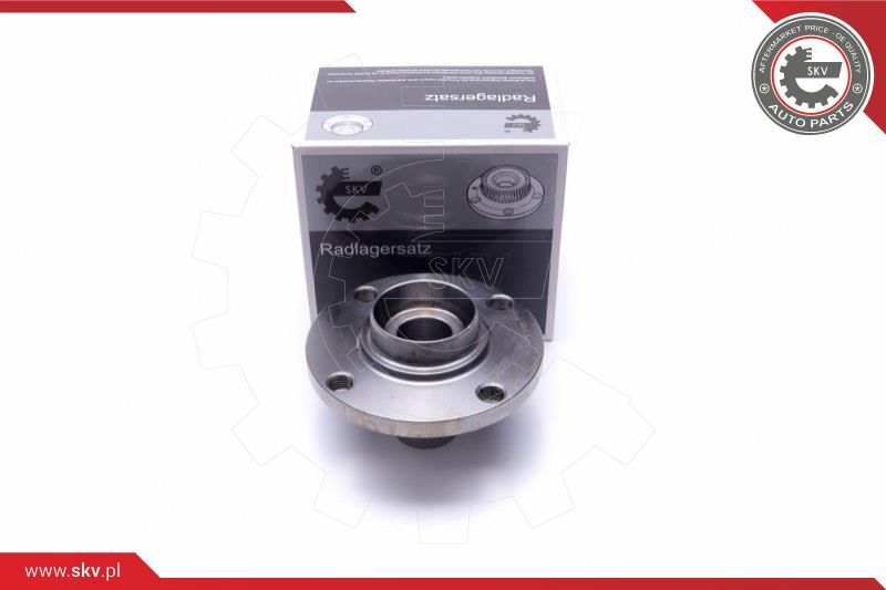 ESEN SKV Garnitura ležaja kotača