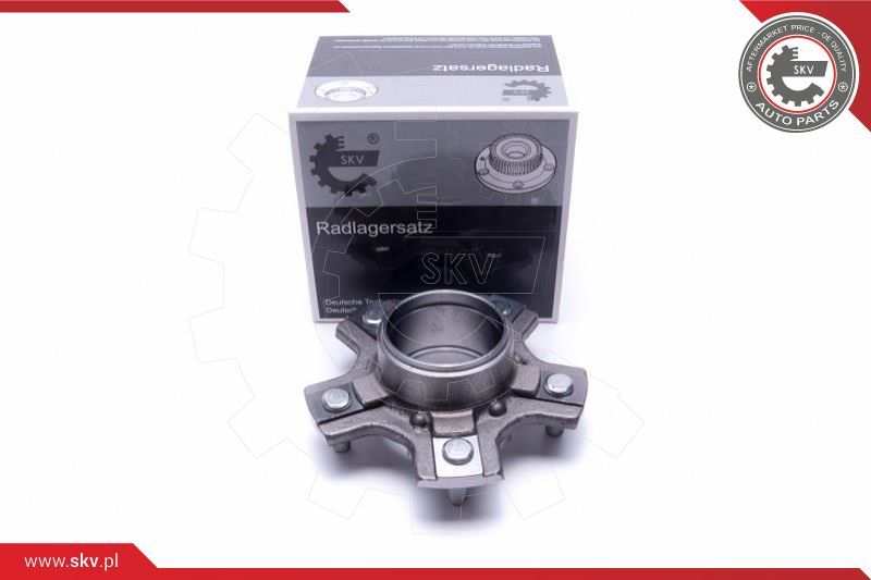 ESEN SKV Garnitura ležaja kotača