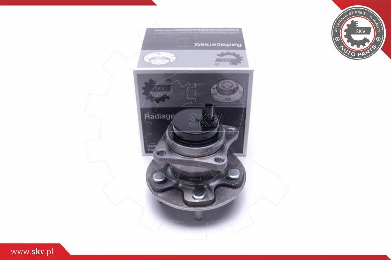 ESEN SKV Garnitura ležaja kotača