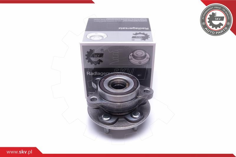 ESEN SKV Garnitura ležaja kotača