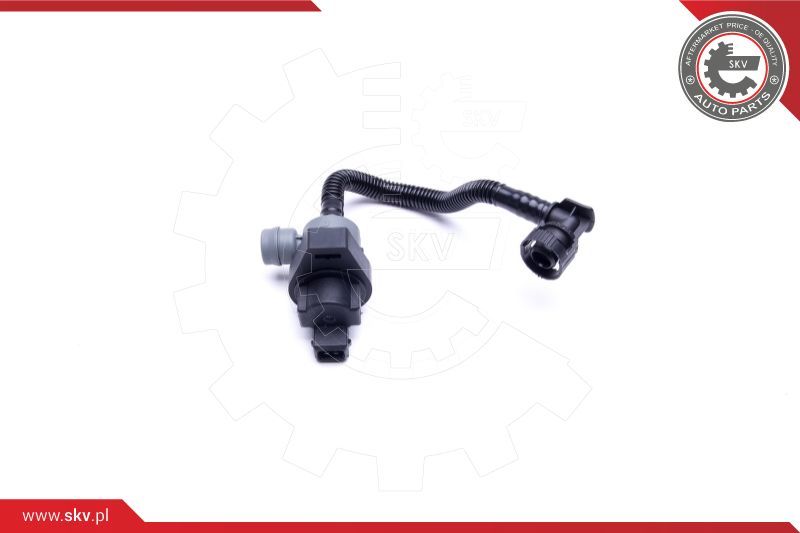 ESEN SKV Odzračni ventil u sustavu napajanja gorivom