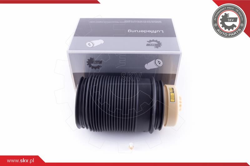 ESEN SKV Zračno ogibljenje, vozni postroj