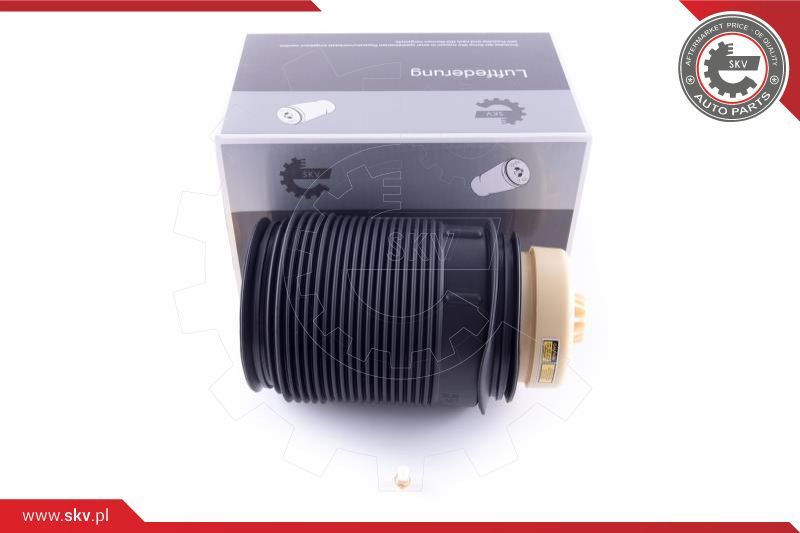 ESEN SKV Zračno ogibljenje, vozni postroj