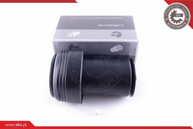 ESEN SKV Zračno ogibljenje, vozni postroj