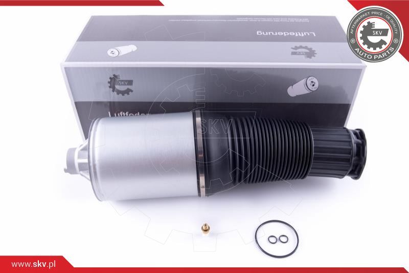 ESEN SKV Zračno ogibljenje, vozni postroj