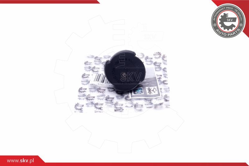 ESEN SKV Poklopac za zatvaranje, spremnik rashladne tekućine