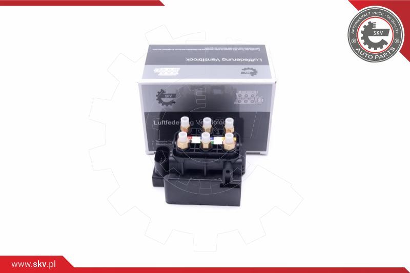ESEN SKV Ventil, pneumatski uređaj
