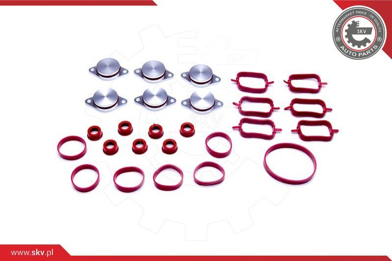 ESEN SKV Komplet brtvi, usisna grana