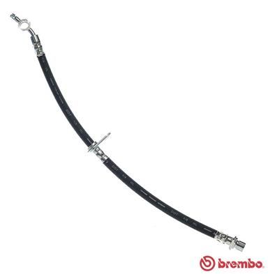 BREMBO Kočiono crijevo