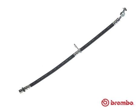 BREMBO Kočiono crijevo