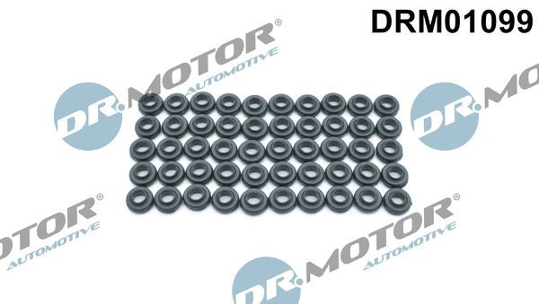 Dr.Motor Automotive Brtva, vijci poklopca glave cilindra