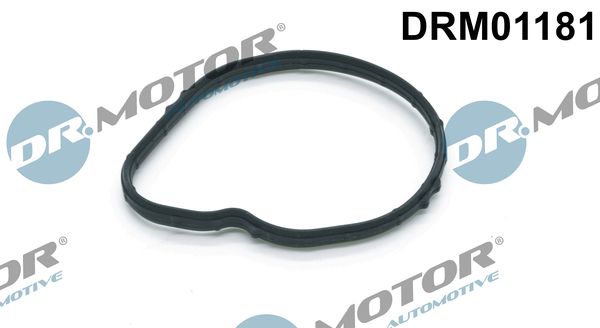 Dr.Motor Automotive Brtva, termostat